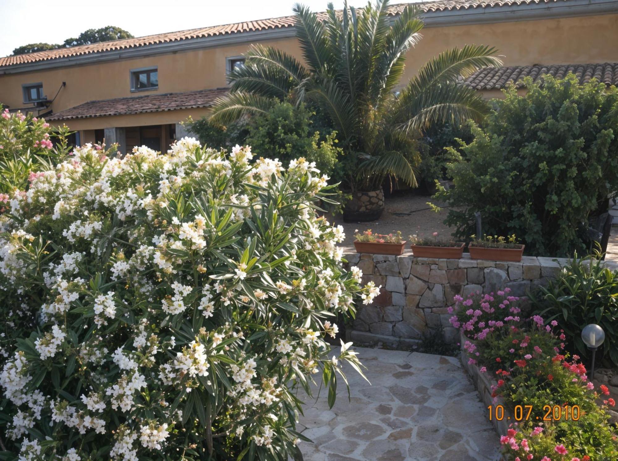 Agriturismo Lu Colbu Trinita d'Agultu e Vignola ภายนอก รูปภาพ
